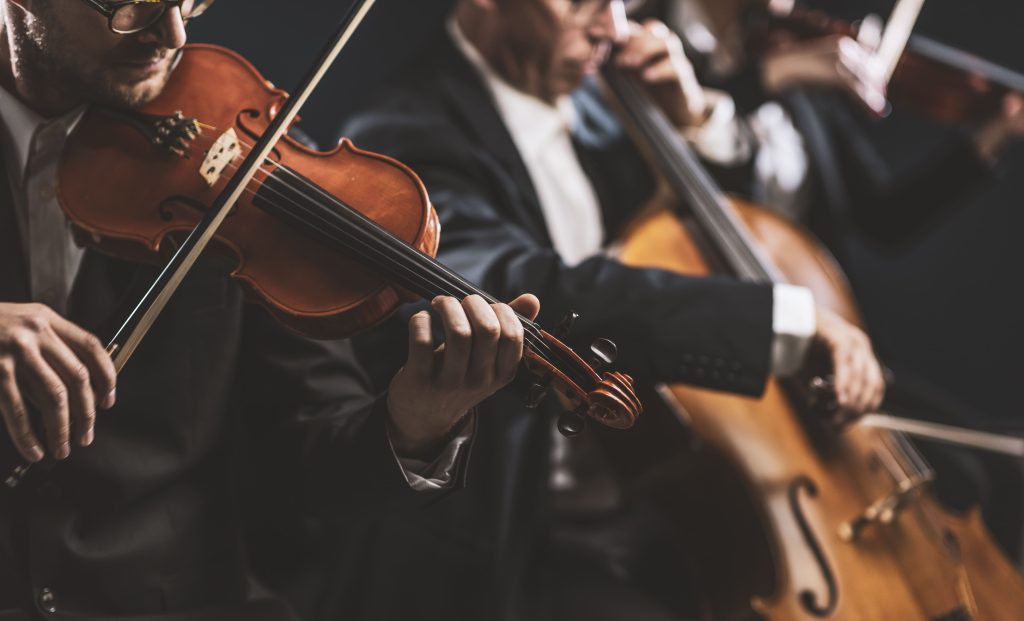 Foto de violinista en concierto sinfónico